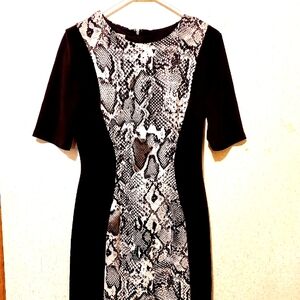Maggy London Animal Print dress size 6